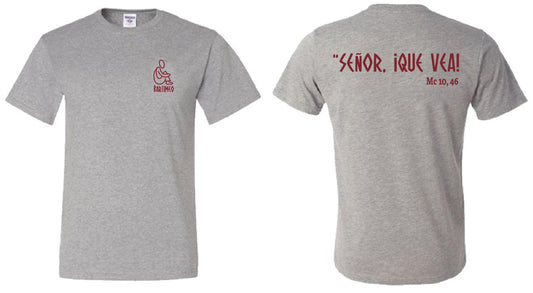 Camiseta gris Bartimeo